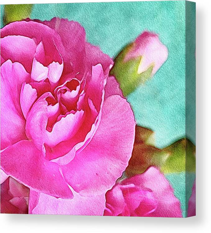 Pink Carnation Canvas Print featuring the photograph Pretty in Pink #2 by Jill Love