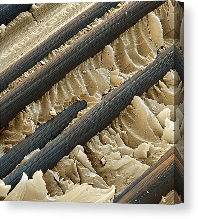 Carbon Fiber Canvas Print featuring the photograph Reinforced Plastic Sem #1 by Meckes/ottawa