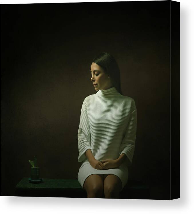 Mood Canvas Print featuring the photograph The Girl & Plant #1 by Moein Hashemi Nasab