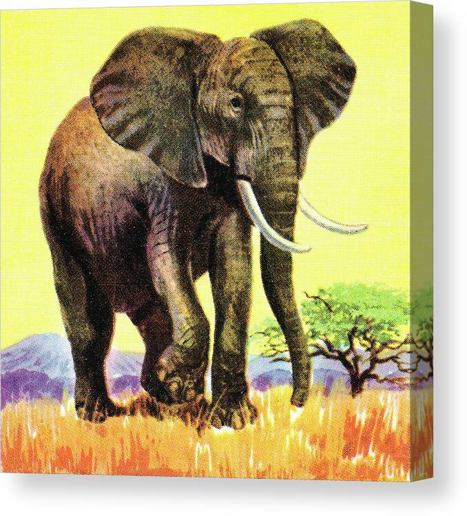 Africa Canvas Print featuring the drawing Elephant #10 by CSA Images