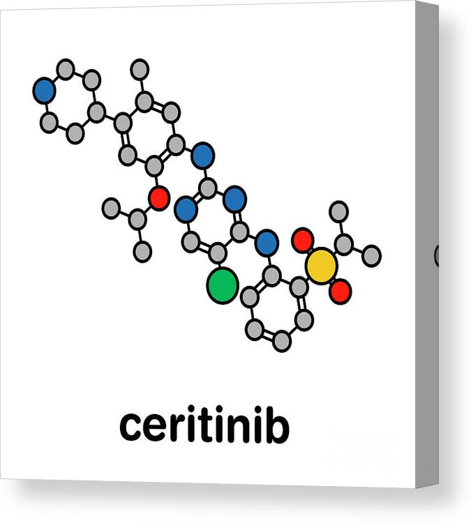 Oncology Canvas Print featuring the photograph Ceritinib Cancer Drug #2 by Molekuul/science Photo Library