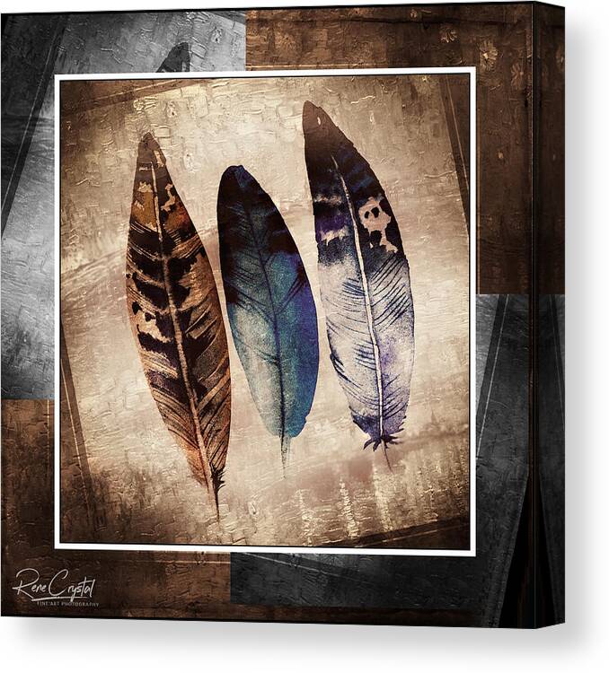 Feathers Canvas Print featuring the photograph 3 Feathers On The Square by Rene Crystal