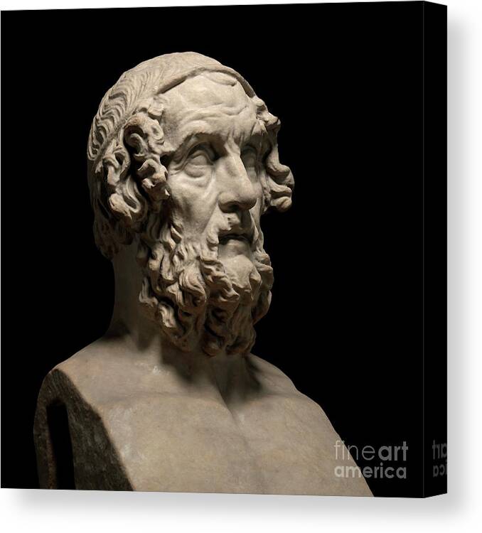 Achilles Canvas Print featuring the photograph Statue Of The Poet Homer #3 by David Parker/science Photo Library