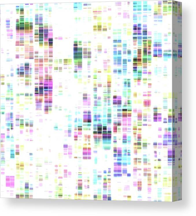 3 Dimensional Canvas Print featuring the photograph Dna Sequencing #5 by Mehau Kulyk/science Photo Library