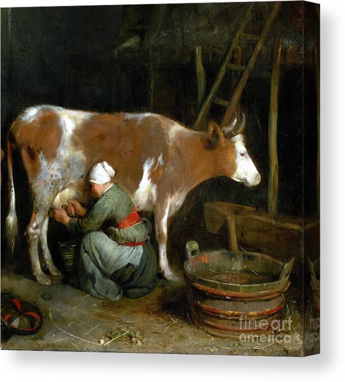 Gerard Ter Borch Canvas Print featuring the painting A Maid Milking a Cow in a Barn by Audrey Jeanne Roberts