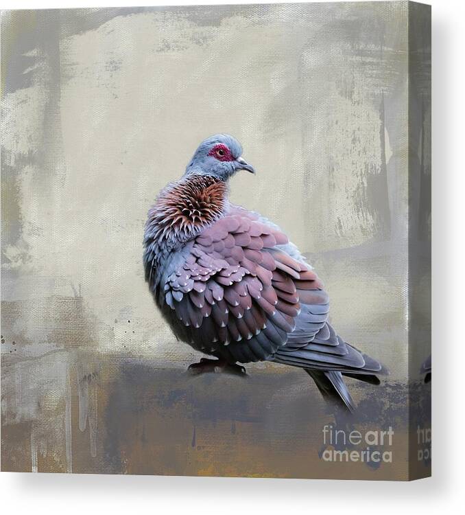 Speckled Pigeon Canvas Print featuring the photograph African Rock Pigeon by Eva Lechner