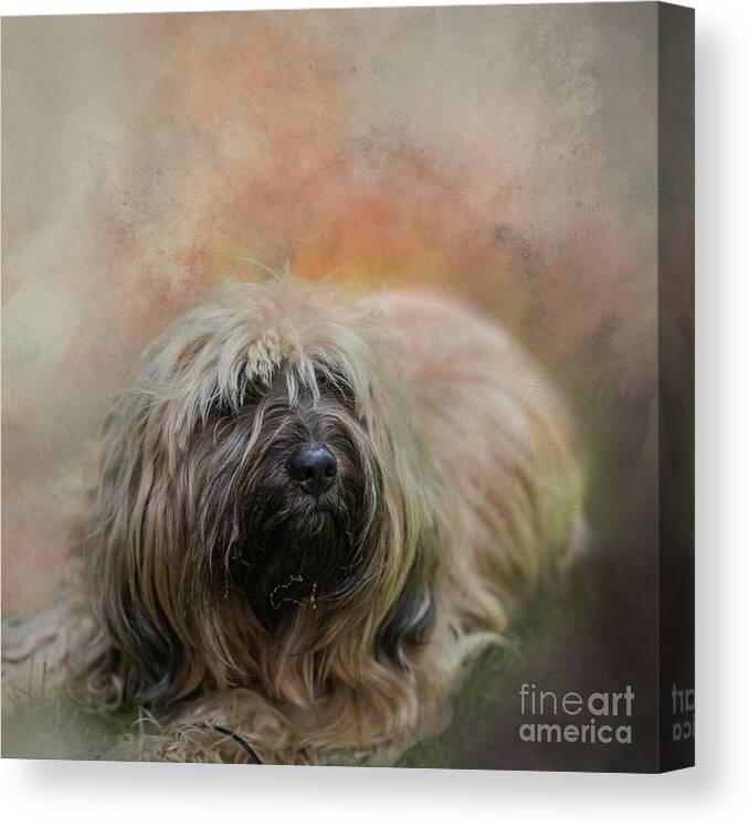 Amely Canvas Print featuring the photograph Amely by Eva Lechner