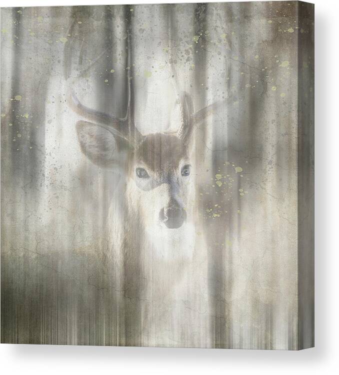 Antique Wildlife Deer 01 Canvas Print featuring the mixed media Antique Wildlife Deer 01 by Lightboxjournal