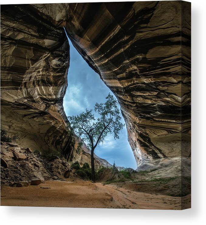 Arizona Canvas Print featuring the photograph Arizona Cave by Larry Marshall
