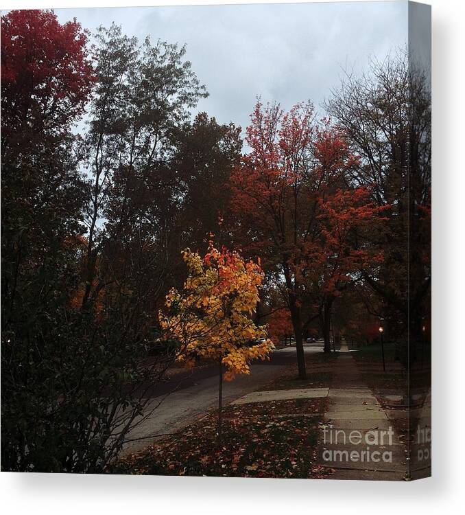 Autumn Canvas Print featuring the photograph Autumn Colors in the Neighborhood by Frank J Casella
