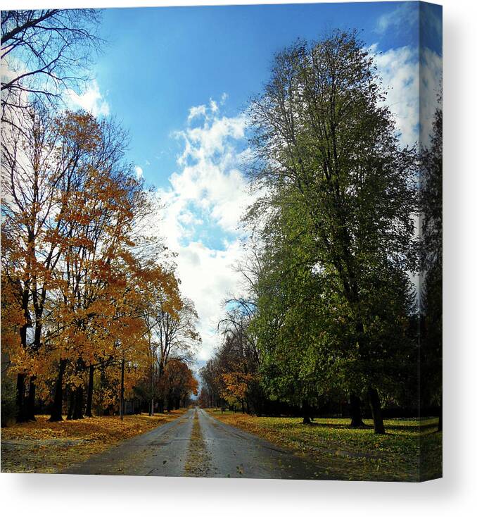 Autumn Conquers Canvas Print featuring the photograph Autumn Conquers by Cyryn Fyrcyd