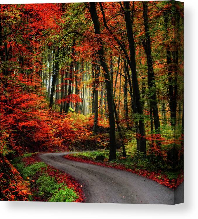 Autumn Canvas Print featuring the photograph Autumn Road by Philippe Sainte-Laudy