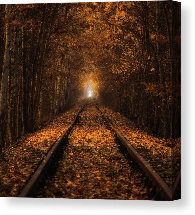 Tunnel Canvas Print featuring the photograph Autumn Tunnel by Pawel Uchorczak