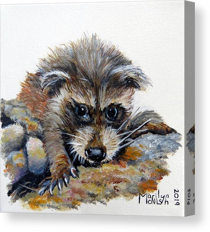 Raccoon Canvas Print featuring the painting Baby Raccoon by Marilyn McNish