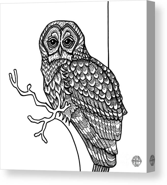 Animal Portrait Canvas Print featuring the drawing Barred Owl by Amy E Fraser