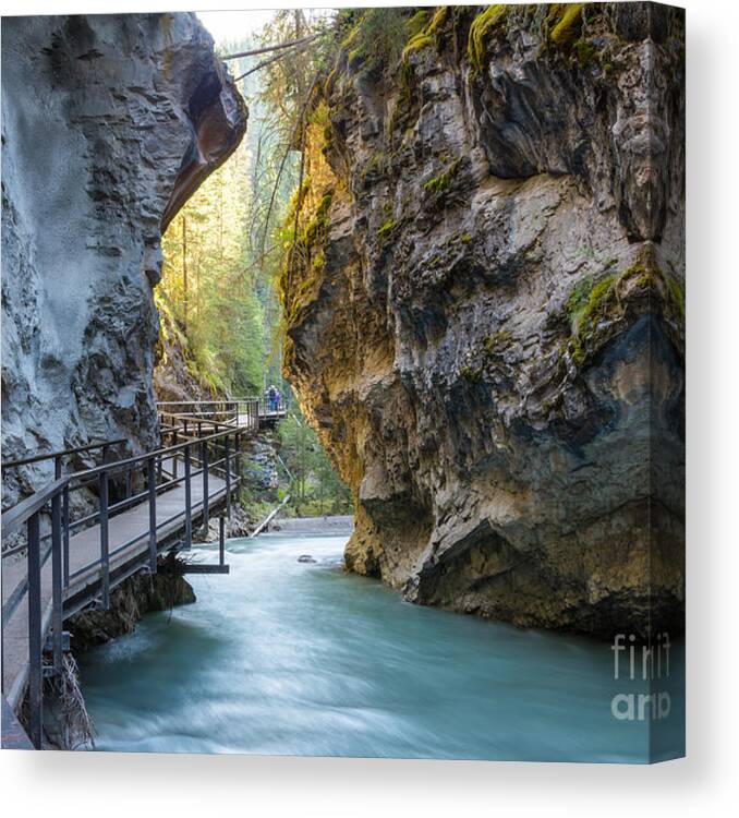 Scenic Canvas Print featuring the photograph Beautiful Johnston Canyon Walkway by Chase Clausen