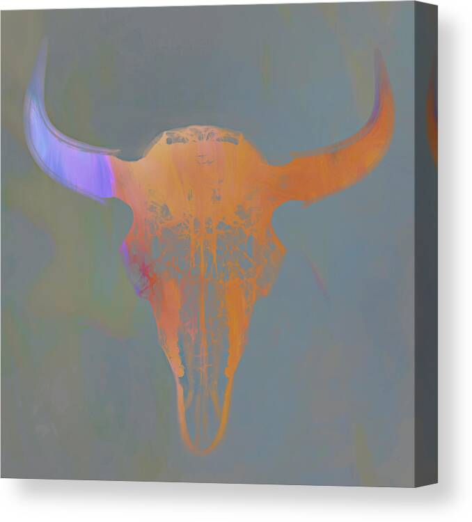 Kansas Canvas Print featuring the photograph Bison skull x-ray art 01 by Rob Graham