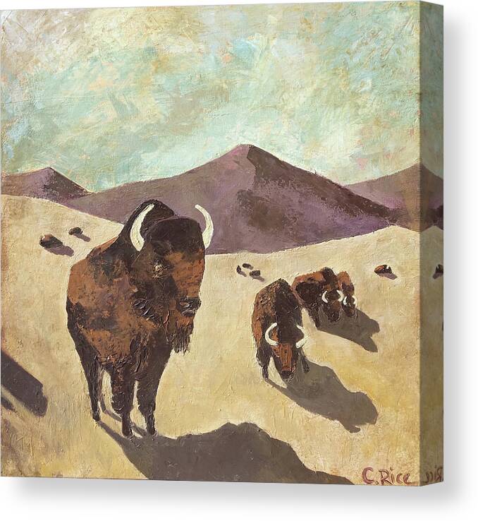 Bison Canvas Print featuring the painting Bison Woodstock Set by Chris Rice