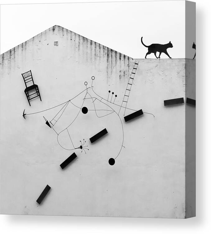 Black Canvas Print featuring the photograph Black Cat by Andrs Gmiz