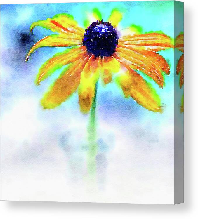 Watercolor Floral Canvas Print featuring the painting Blackeyed Susan by Bonnie Bruno