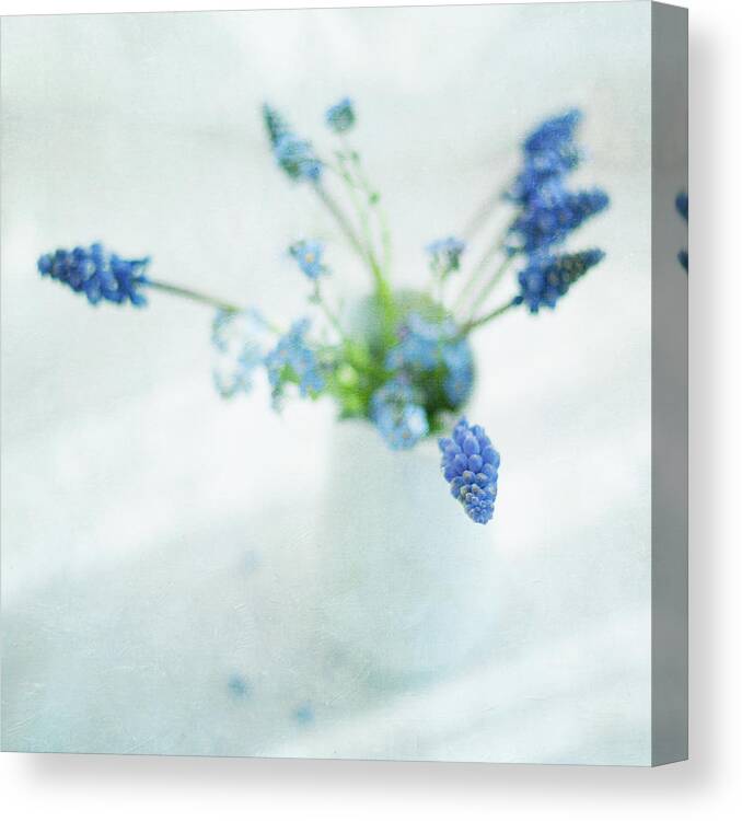 White Background Canvas Print featuring the photograph Blue Flowers In White Jug by Jill Ferry