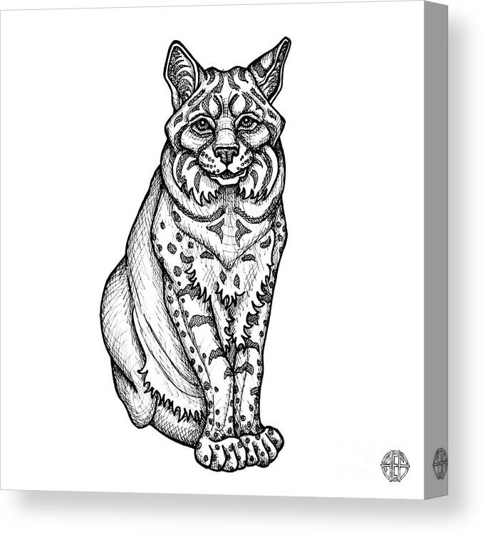 Animal Portrait Canvas Print featuring the drawing Bobcat by Amy E Fraser