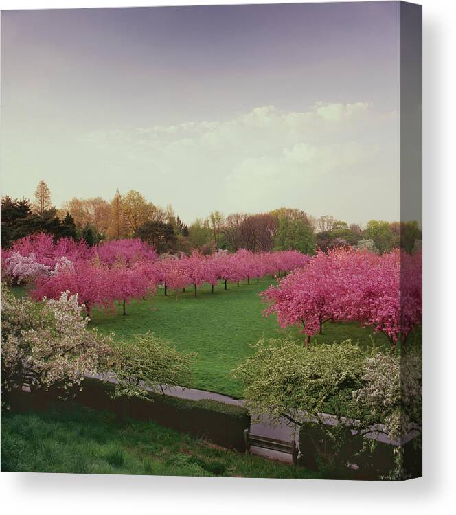 Scenics Canvas Print featuring the photograph Brooklyn Botanical Gardens Spring Color by Richard Felber
