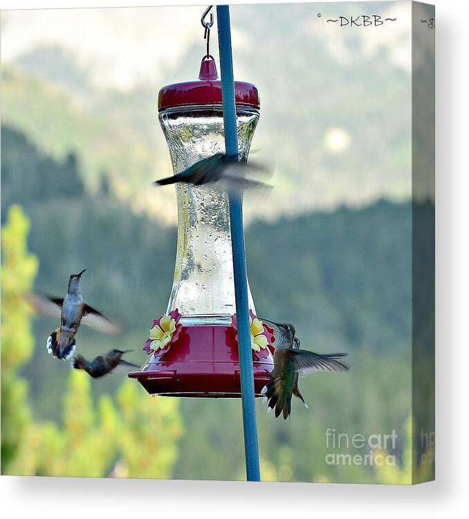 Hummingbirds Canvas Print featuring the photograph Busy Time at the Feeder by Dorrene BrownButterfield