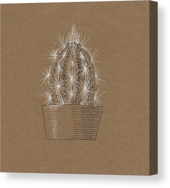 Cactus Canvas Print featuring the drawing Cactus 4 by Masha Batkova