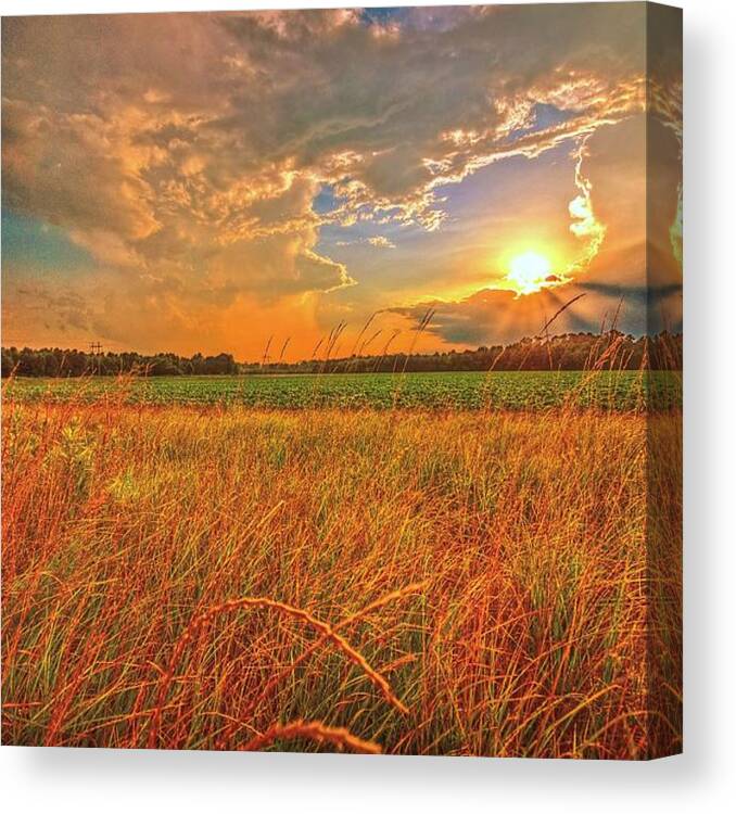 Tranquility Canvas Print featuring the photograph Carolina Summer by John Harding Photography