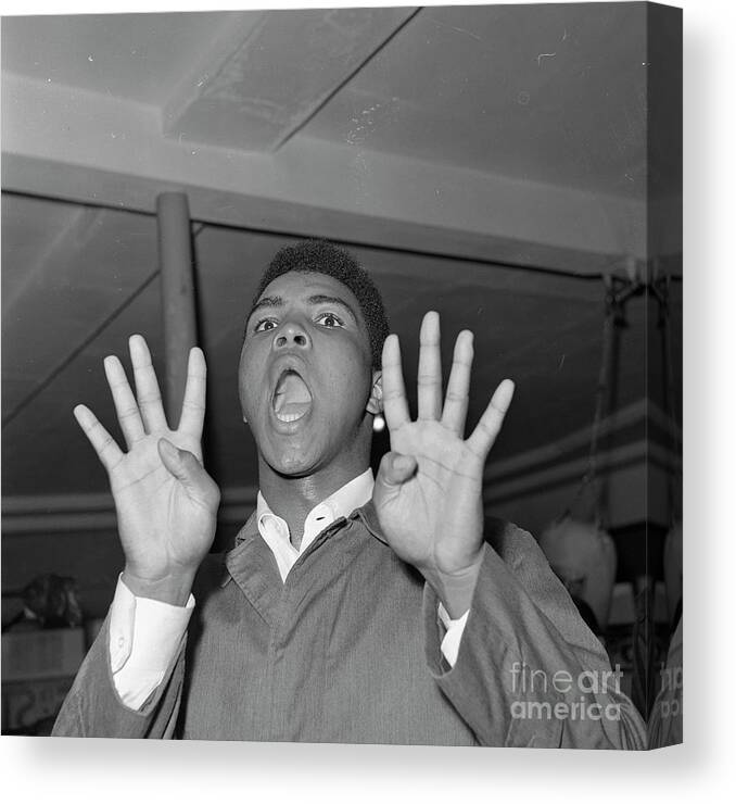 Young Men Canvas Print featuring the photograph Cassius Clay Holding Up Eight Fingers by Bettmann