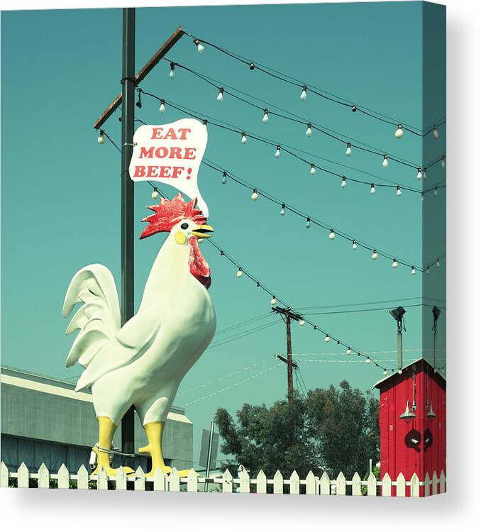 White Leghorn Canvas Print featuring the photograph Chicken Says Eat Beef by Farukulay