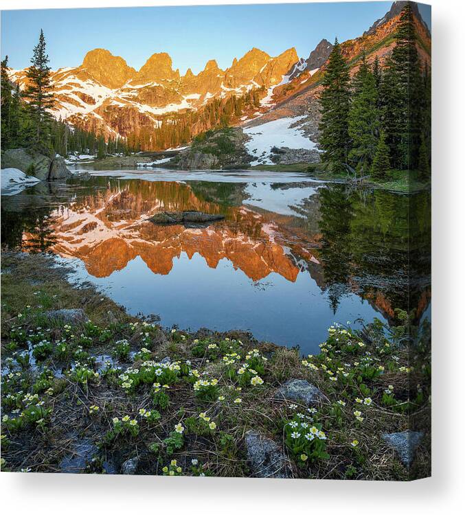 Colorado Canvas Print featuring the photograph Colorado Reflection - Willow Lakes by Aaron Spong
