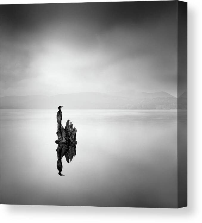 Landscape Canvas Print featuring the photograph Cormorant 02 by George Digalakis