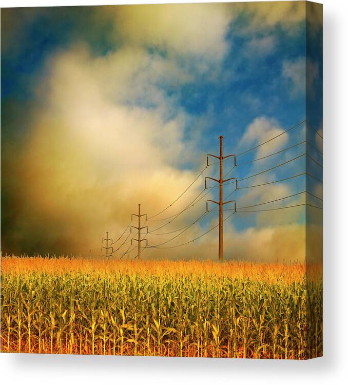 Electricity Pylon Canvas Print featuring the photograph Corn Field At Sunrise by Photo By Jim Norris