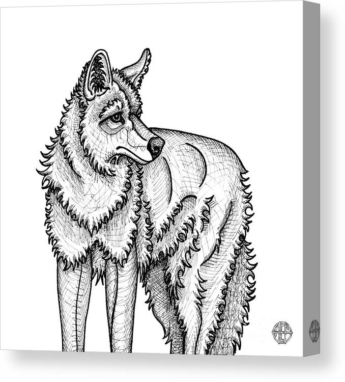 Animal Portrait Canvas Print featuring the drawing Coyote by Amy E Fraser