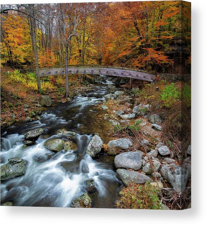 Crab Tree Creek Canvas Print featuring the photograph Crab Tree Creek by Mark Papke