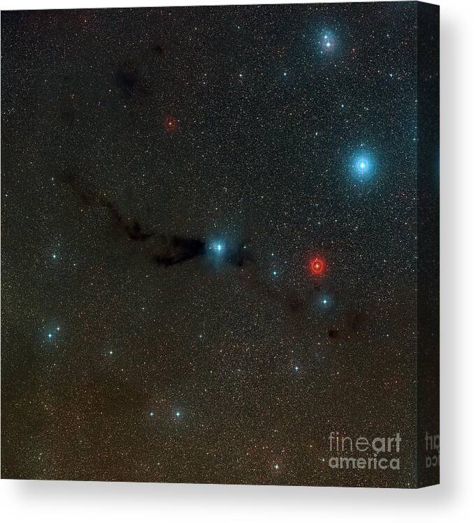 Astronomy Canvas Print featuring the photograph Dark Nebula Lupus 3 In Scorpius by Davide De Martin/science Photo Library