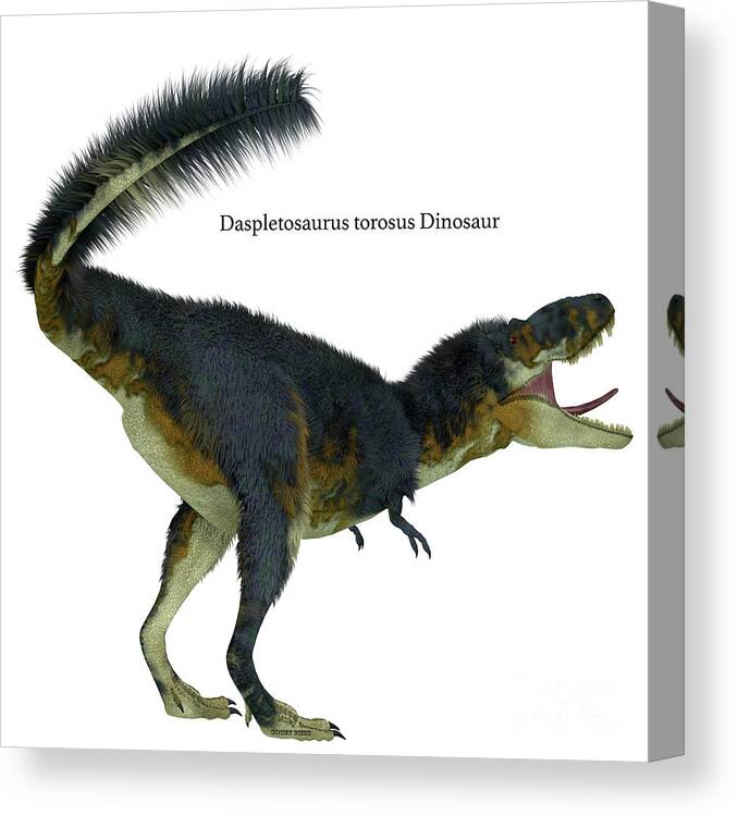 Daspletosaurus Canvas Print featuring the digital art Daspletosaurus Dinosaur Tail with Font by Corey Ford