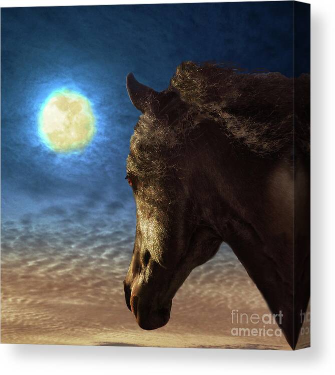 Friesian Canvas Print featuring the digital art Day's End by Melinda Hughes-Berland