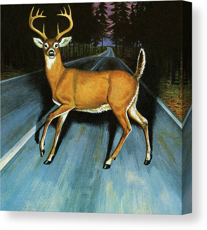 Activity Canvas Print featuring the drawing Deer in the Headlights by CSA Images