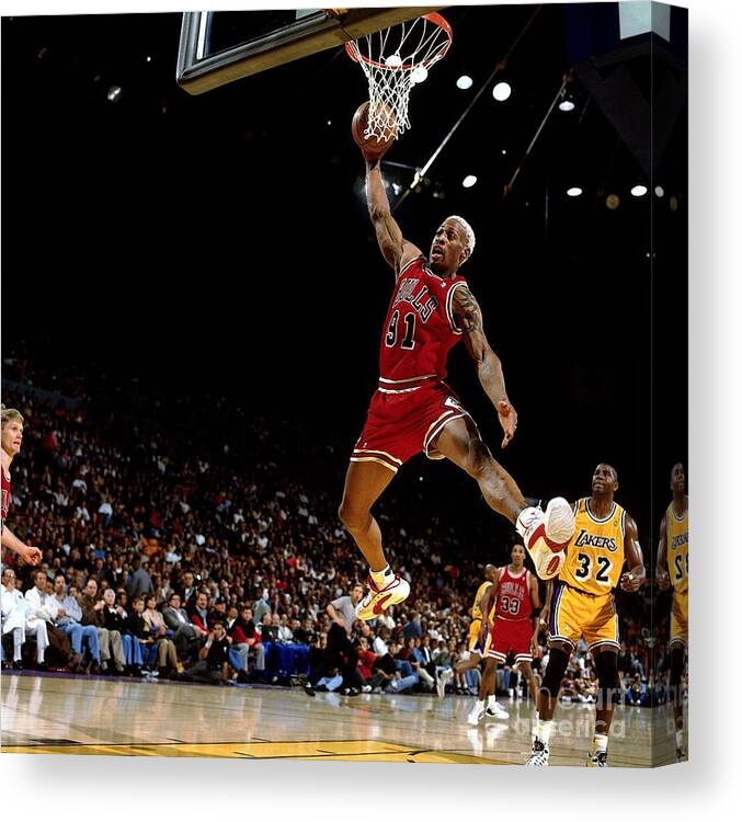 Chicago Bulls Canvas Print featuring the photograph Dennis Rodman Rebound by Andrew D. Bernstein