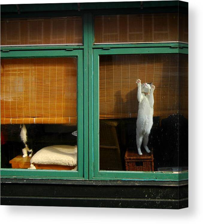 Fun Canvas Print featuring the photograph Different Ways by Jacek Stefan