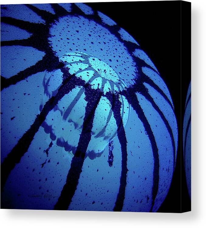 Jellyfish Canvas Print featuring the photograph Double Jelly by Gary Felton