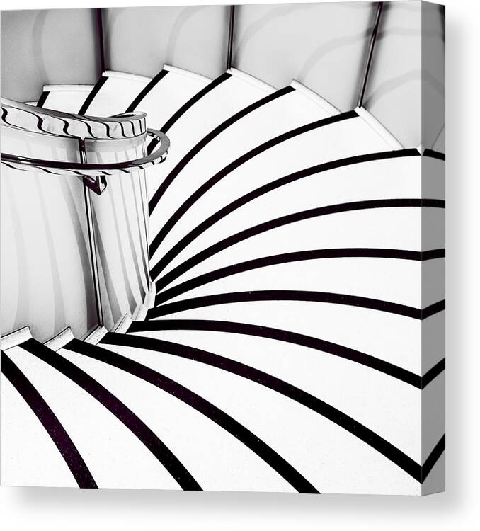 Zebra Canvas Print featuring the photograph Down The Steps by Jacqueline Hammer