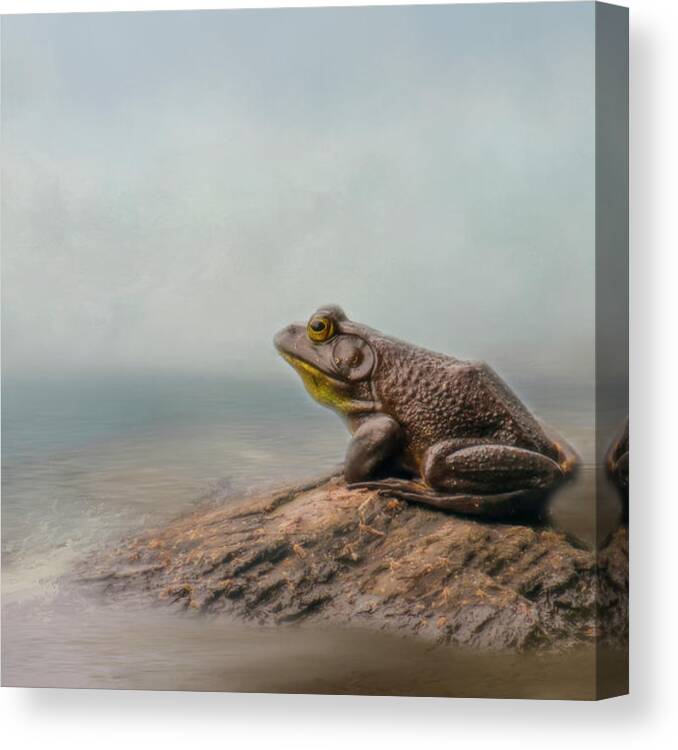 Frog Canvas Print featuring the photograph Dreaming by Cathy Kovarik