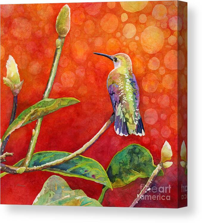 Hummingbird Canvas Print featuring the painting Dreamy Hummer by Hailey E Herrera