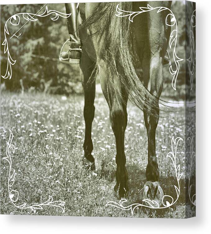I Canvas Print featuring the photograph Dressage Daisies  by Dressage Design
