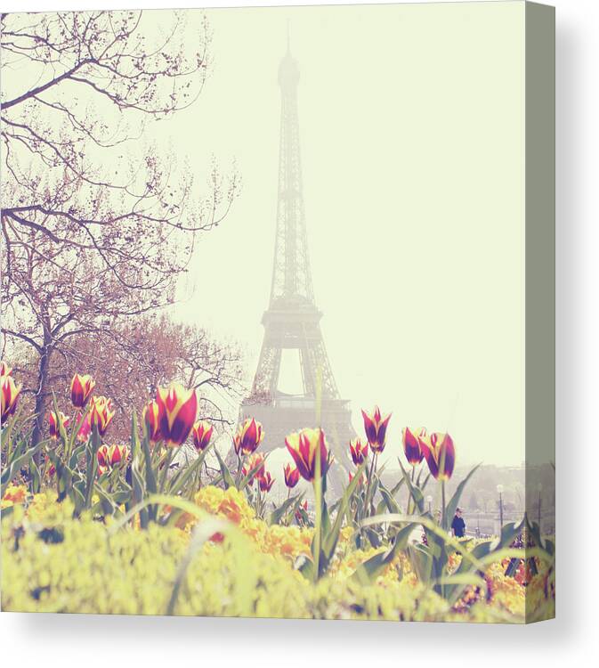 Built Structure Canvas Print featuring the photograph Eiffel Tower With Tulips by Gabriela D Costa