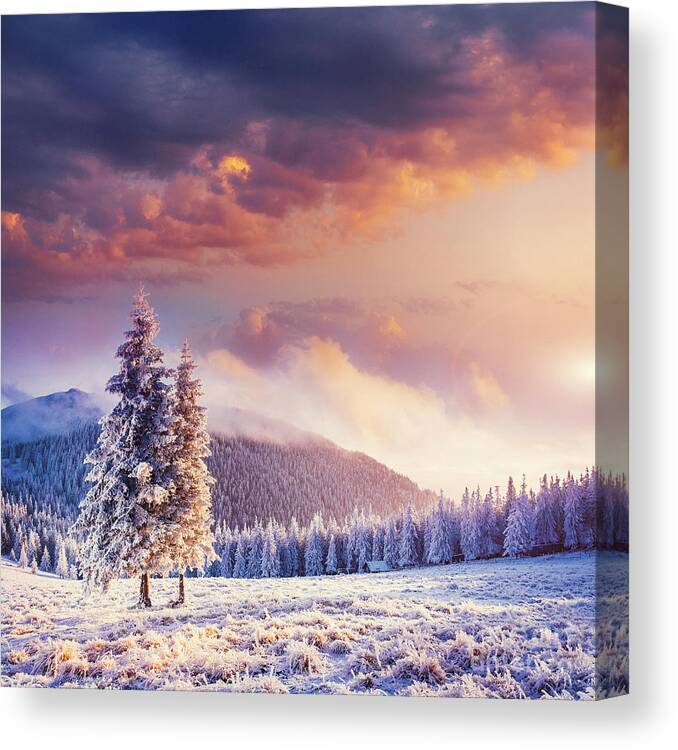 Forest Canvas Print featuring the photograph Fabulous Winter Landscape by Standret